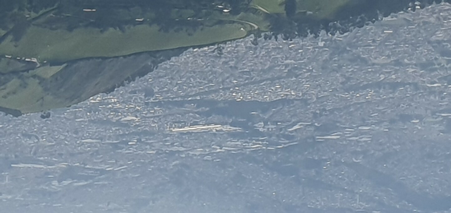 20231119_152627