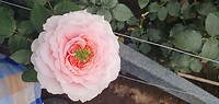 20231120_110628 - kopie