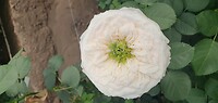 20231120_110658 - kopie
