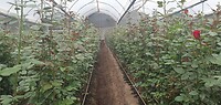 20231120_111206 - kopie