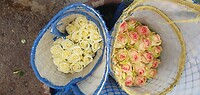 20231120_112453 - kopie