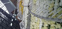 20231120_113042 - kopie