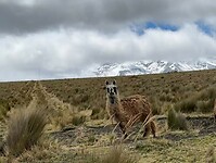 IMG-20231126-WA0076