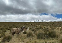 IMG-20231126-WA0077