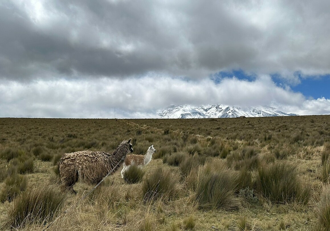 IMG-20231126-WA0077