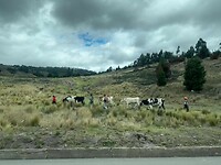 IMG-20231127-WA0017