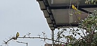 20231201_082528