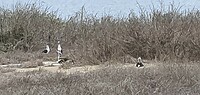 20231201_124826