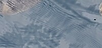 20231201_134050