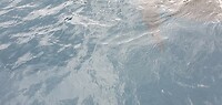 20231201_134104