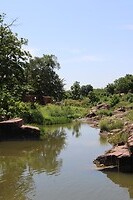 IMG_7237
