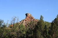 IMG_7373