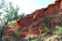 IMG_7379