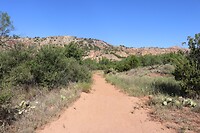 IMG_7401