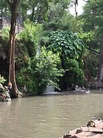 Kraus Spring