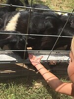 Ranch
