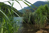 Foto05