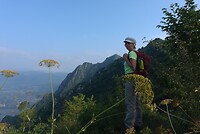 Foto06