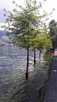 20200701_154032-01