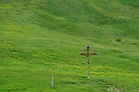 DSC09064