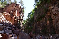 DSC09113