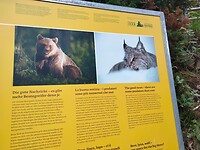 IMG20210629140123