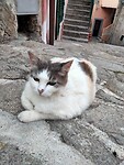 IMG20210707202655-01