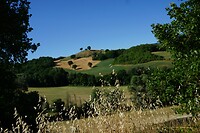 DSC01142