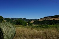 DSC01165