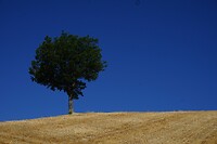 DSC01172