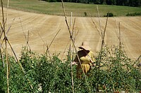 DSC01205
