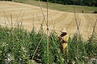 DSC01211