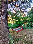 IMG20210709071516-01