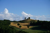 DSC01566