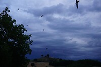 DSC01655