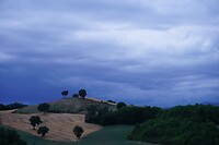 DSC01661