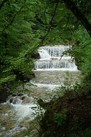 DSC02531