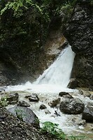 DSC02538