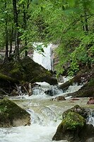 DSC02555
