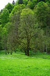 1000008834-01[1]