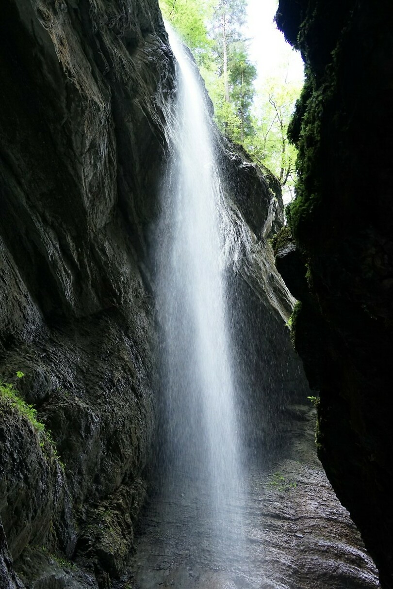 DSC02598