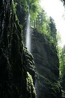 DSC02612