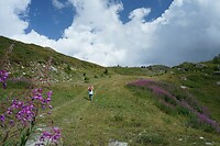 DSC04966