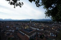 DSC05246