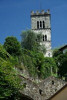DSC05429