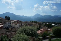 DSC05478