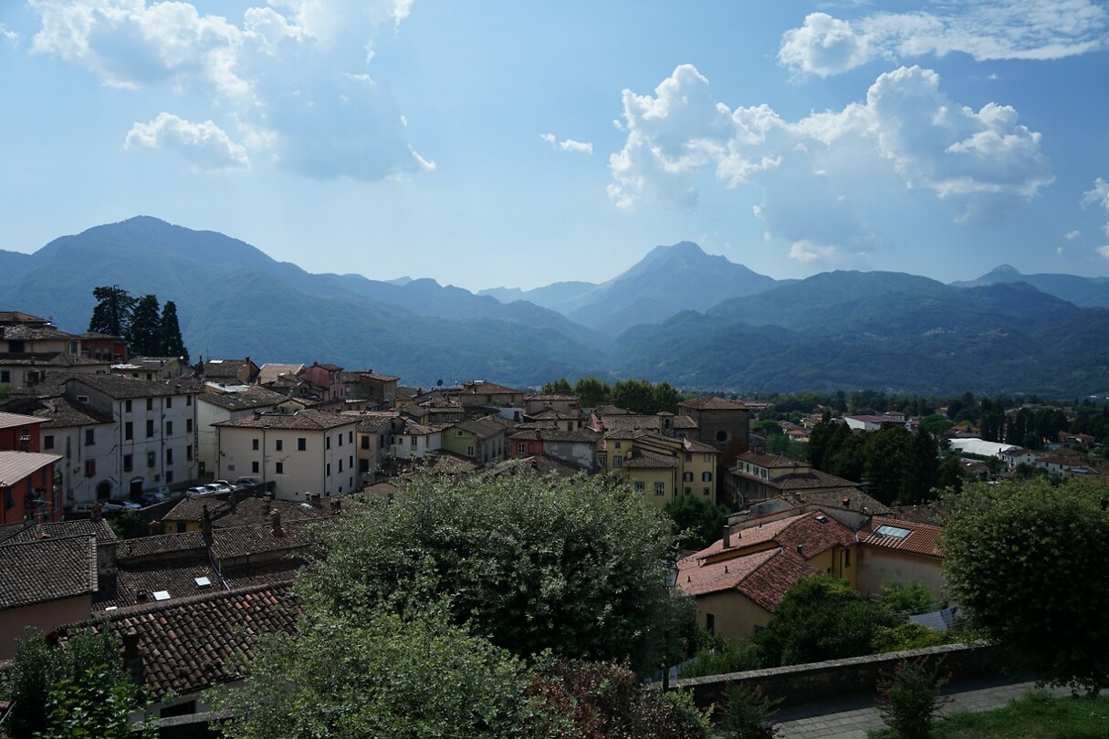 DSC05478