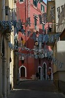 DSC05723