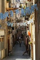 DSC05727