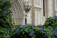 DSC05865
